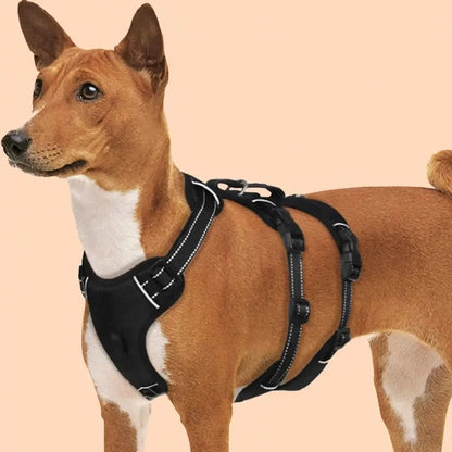 Pettorina NoPull in nylon per cani - riflettente e a prova di fuga per passeggiate rilassate