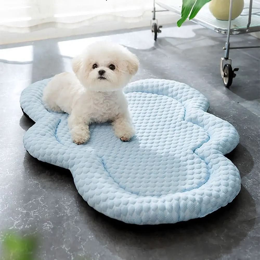 COOLICLOUD – Tappetino rinfrescante per animali domestici a forma di nuvola per il comfort estivo