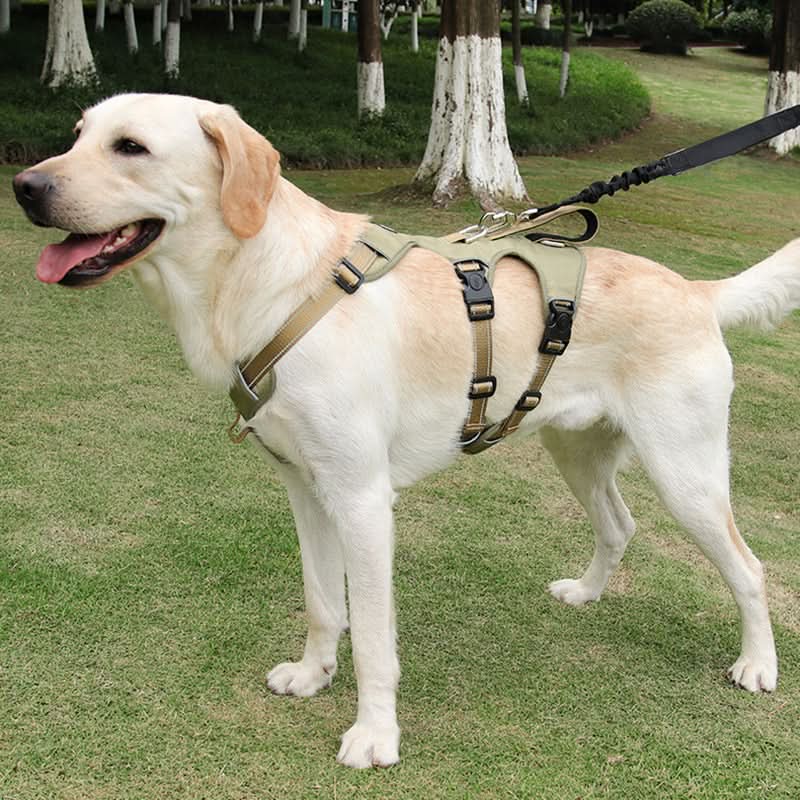 Pettorina NoPull in nylon per cani - riflettente e a prova di fuga per passeggiate rilassate