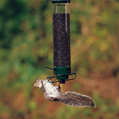 WILDFEED – Alimentatore per uccelli all'aperto con sistema multi-porta e funzione di protezione