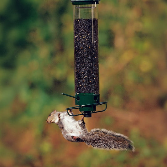 WILDFEED – Alimentatore per uccelli all'aperto con sistema multi-porta e funzione di protezione