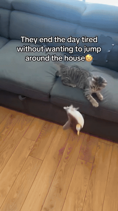 WHISKERFUN – Peluche interattivo per gatti attivi