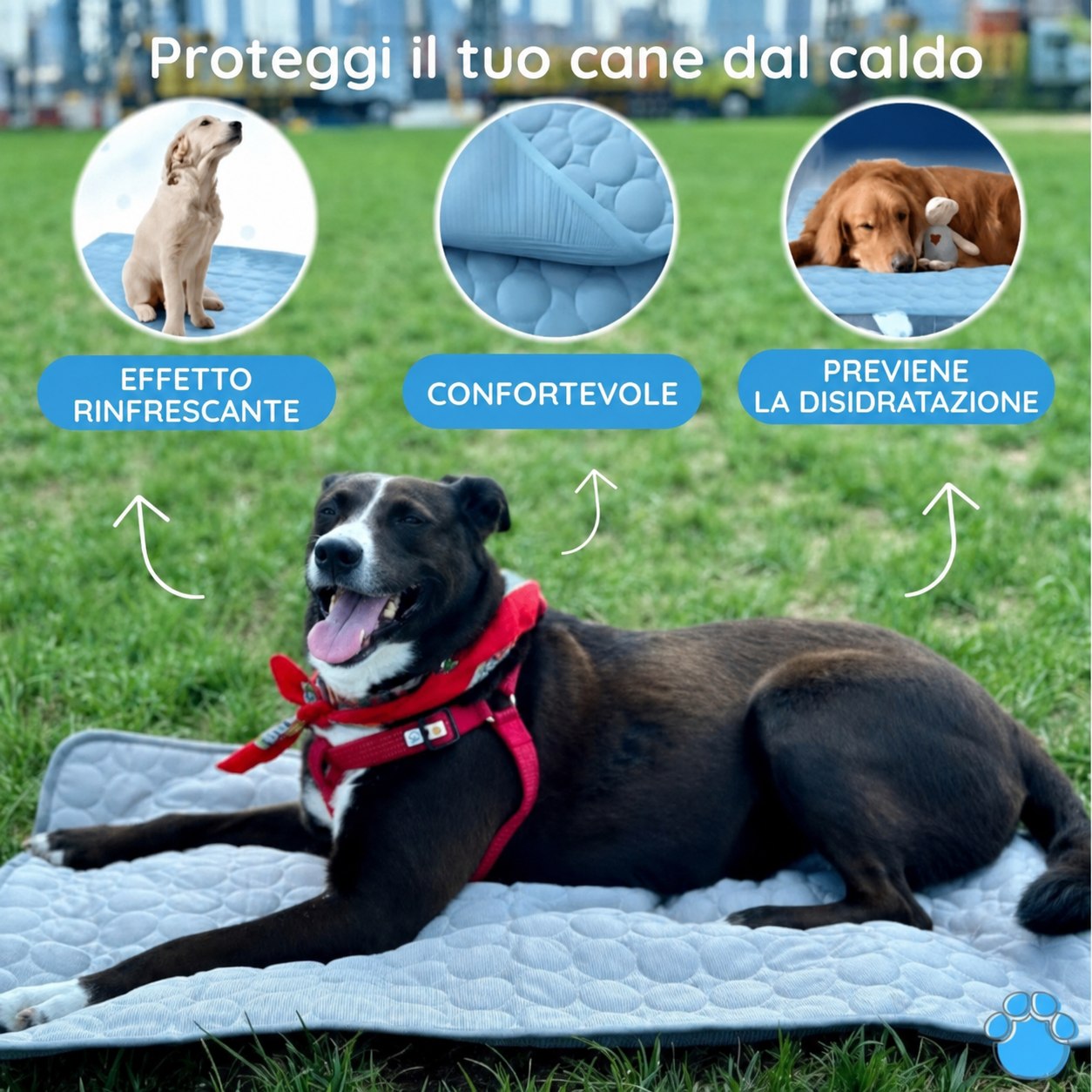 Animale su Tappetino Refrigerante