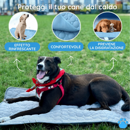 Animale su Tappetino Refrigerante