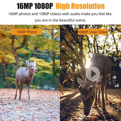 Fotocamera da sentiero 1080p con sensore di movimento e LED per visione notturna