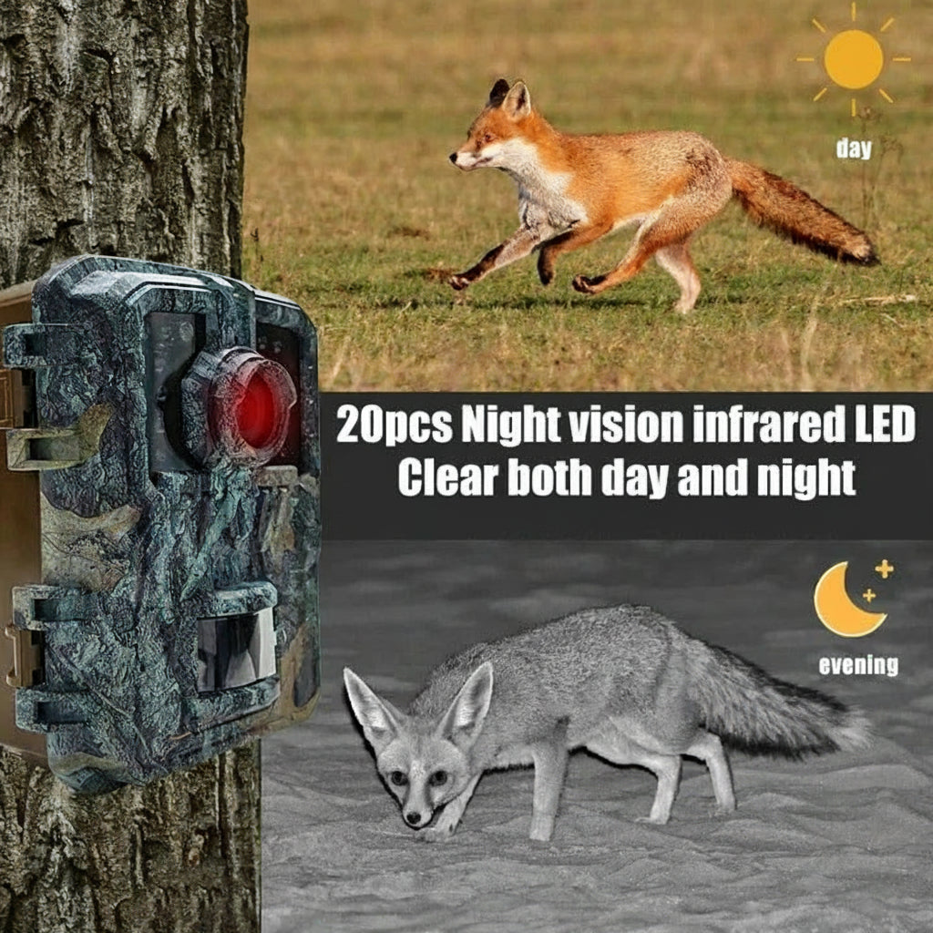 Mini fototrappola con LED infrarossi e rilevamento del movimento