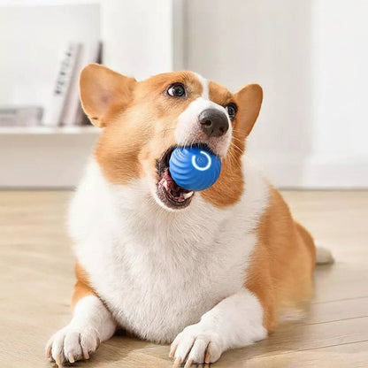 Palla rotante attivata dal movimento per animali domestici