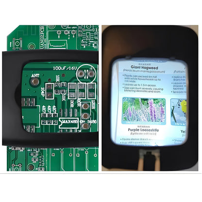 Lente di Ingrandimento da Pavimento Regolabile con Ampia Lente e LED