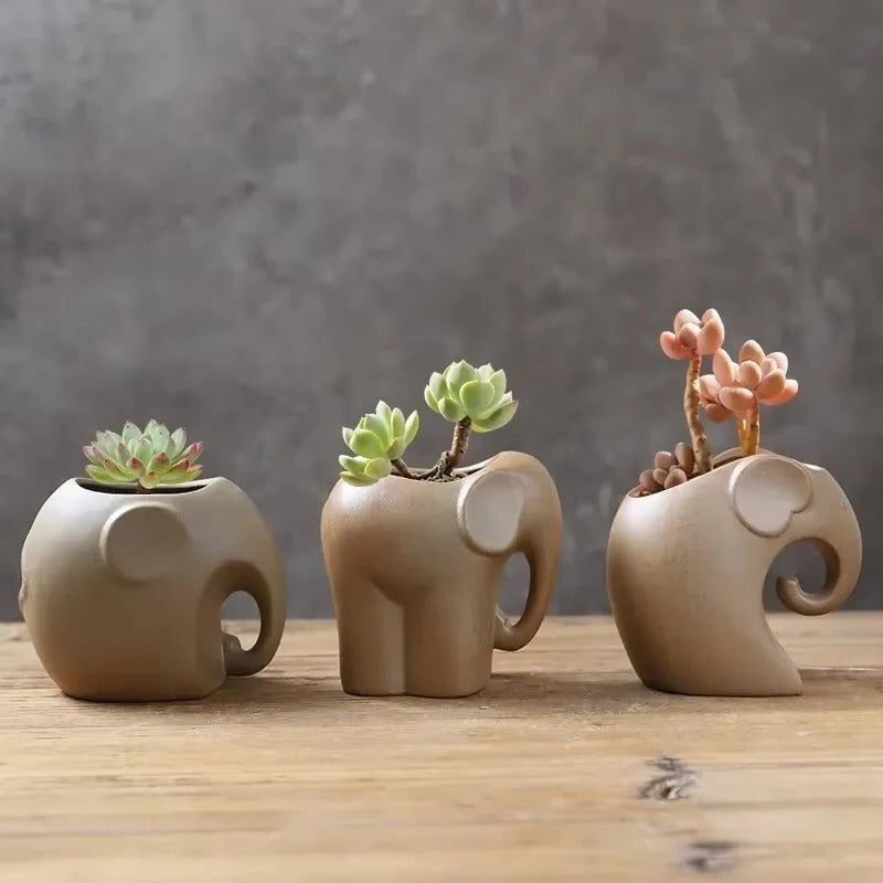 Vaso per Piante Succulente in Ceramica a Forma di Animale per Scrivania