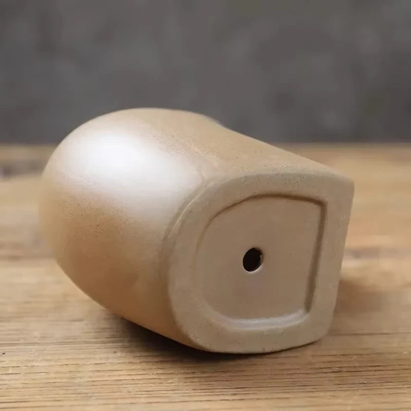 Vaso per Piante Succulente in Ceramica a Forma di Animale per Scrivania