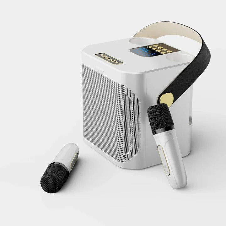 Altoparlante Karaoke Bluetooth Portatile con Suono a 360 Gradi