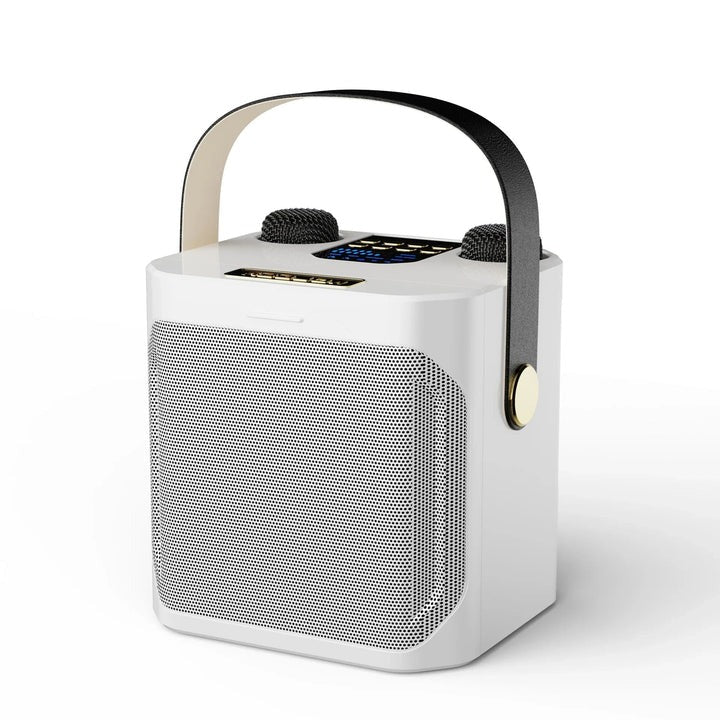 Altoparlante Karaoke Bluetooth Portatile con Suono a 360 Gradi