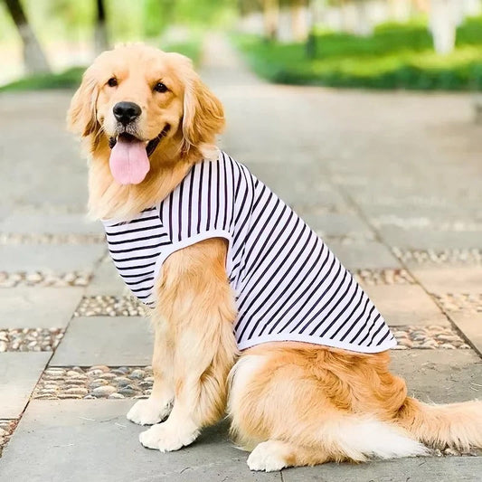 Maglietta in cotone morbida e traspirante per cani di taglia grande