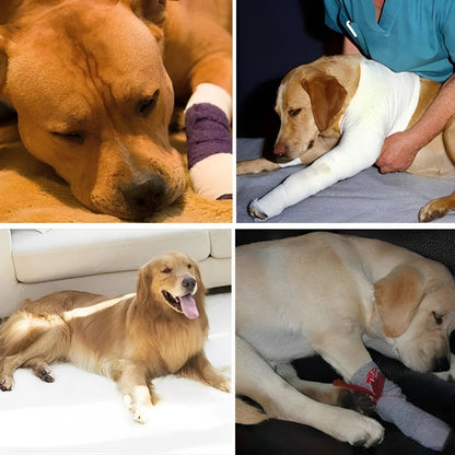 Tutore per zampa del cane con cinghie regolabili