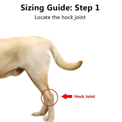 Tutore per zampa del cane con cinghie regolabili
