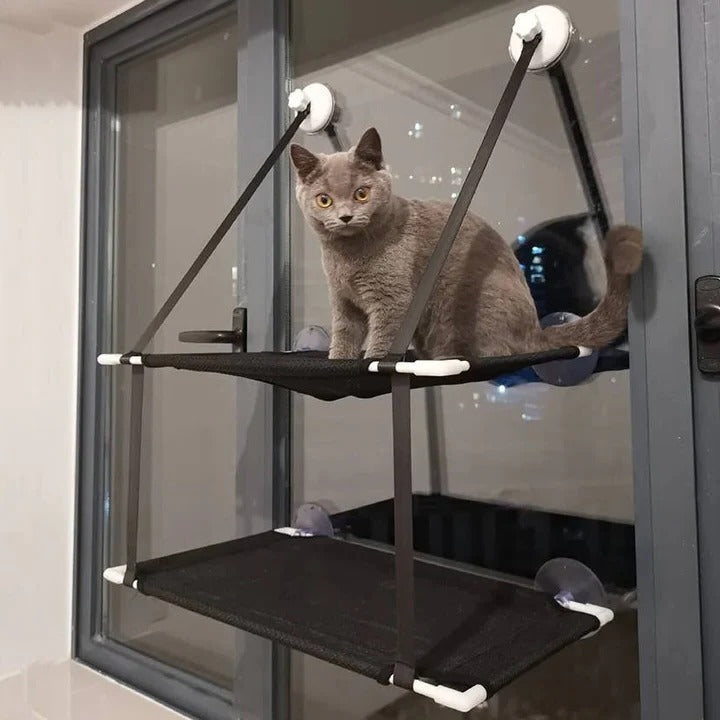 Amaca da finestra per gatti con ventosa
