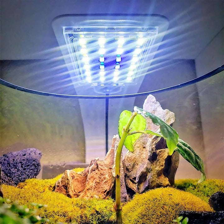 Luce LED sottile per acquari e piante