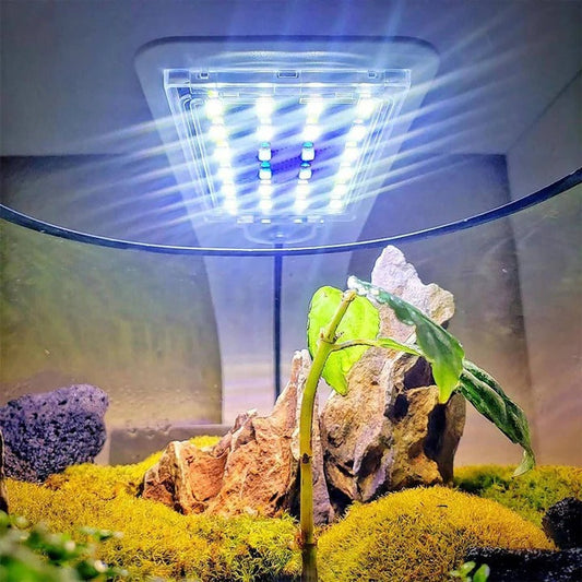 Luce LED sottile per acquari e piante