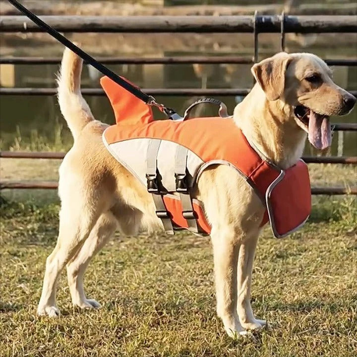Giubbotto salvagente galleggiante per cani con supporto di galleggiamento