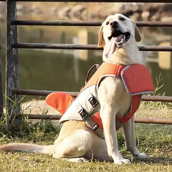 Giubbotto salvagente galleggiante per cani con supporto di galleggiamento