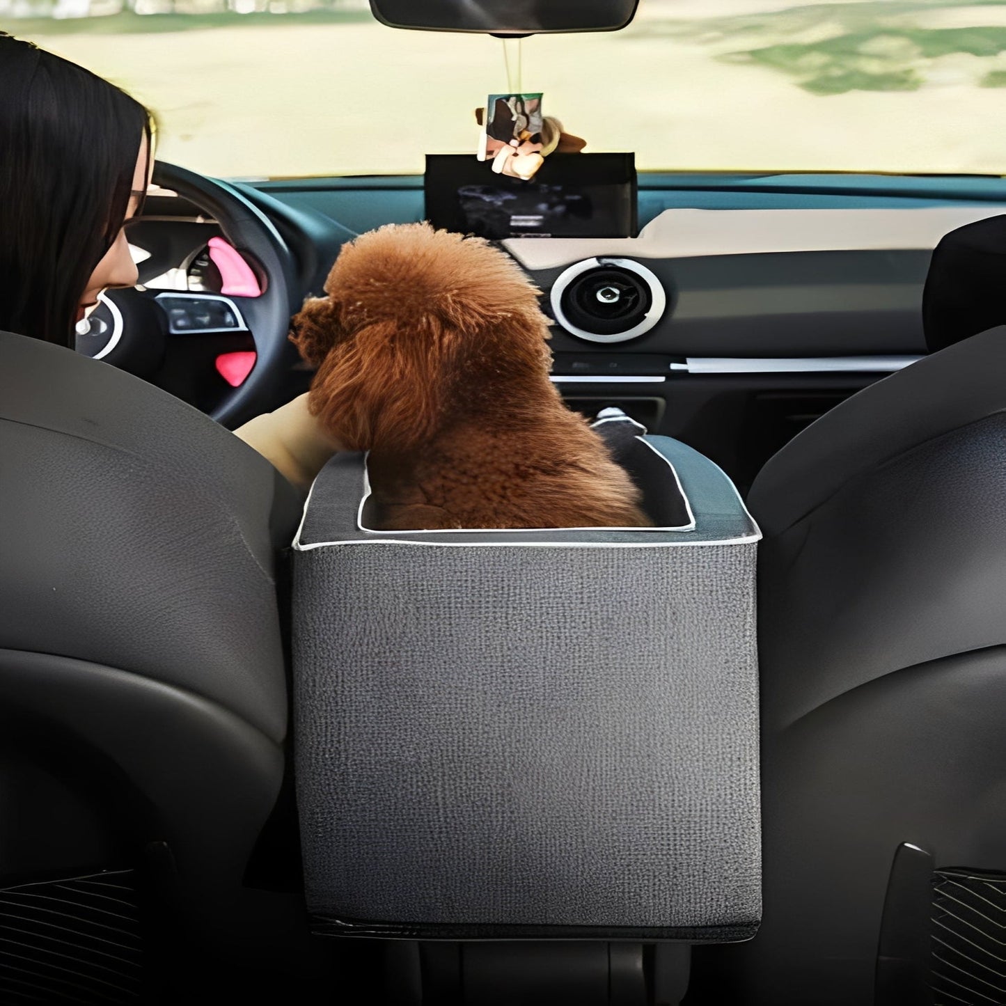 Seggiolino da viaggio compatto per animali domestici per auto, montaggio sul bracciolo, chiusura a cerniera, per piccoli animali