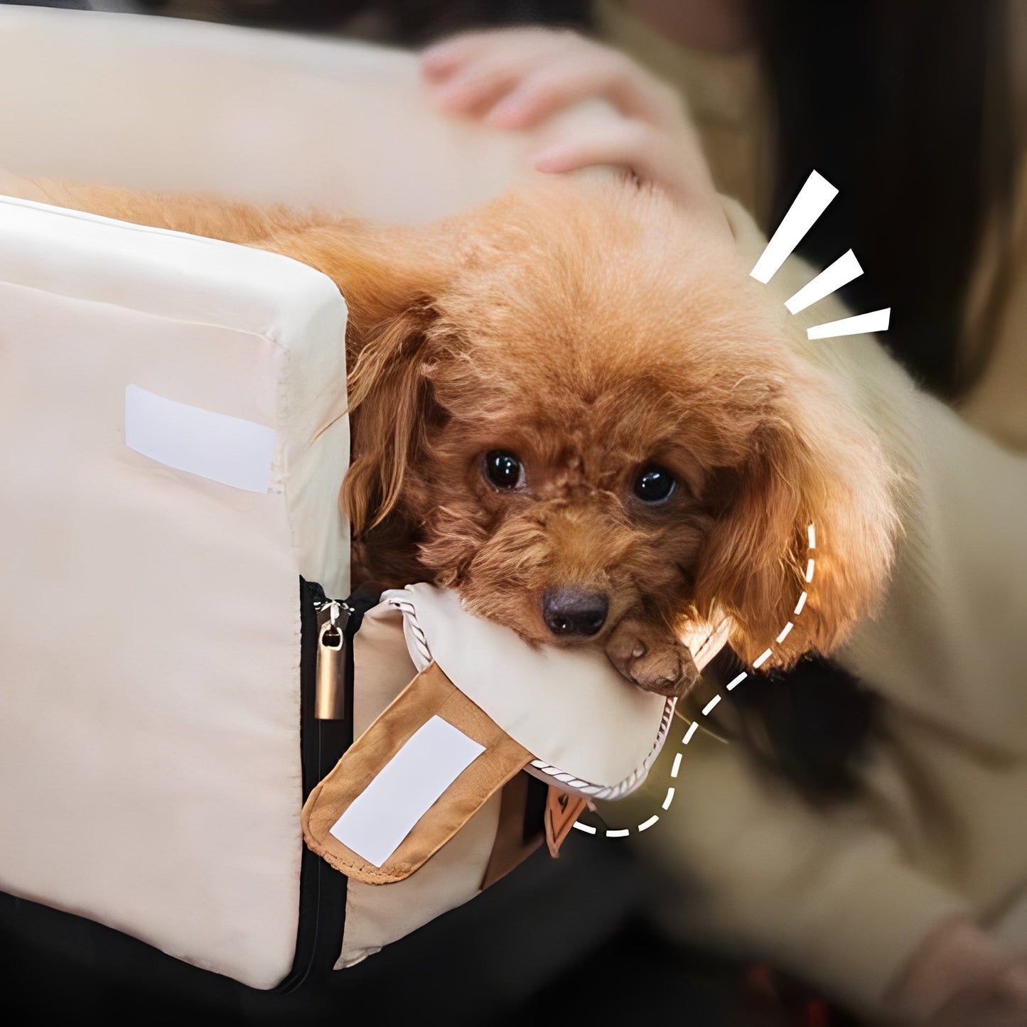 Seggiolino da viaggio compatto per animali domestici per auto, montaggio sul bracciolo, chiusura a cerniera, per piccoli animali