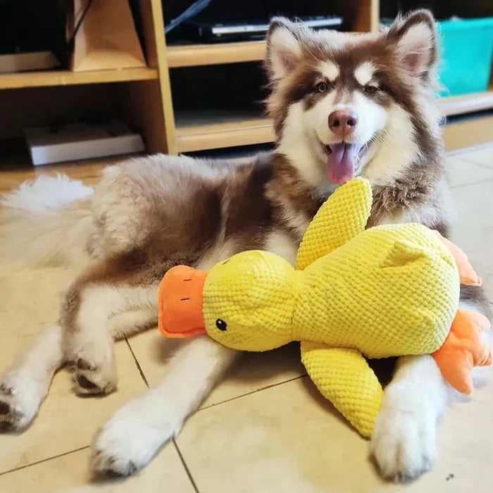 Giocattolo per cani squillante a forma di anatra con cuciture rinforzate