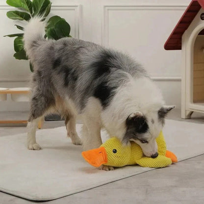 Giocattolo per cani squillante a forma di anatra con cuciture rinforzate