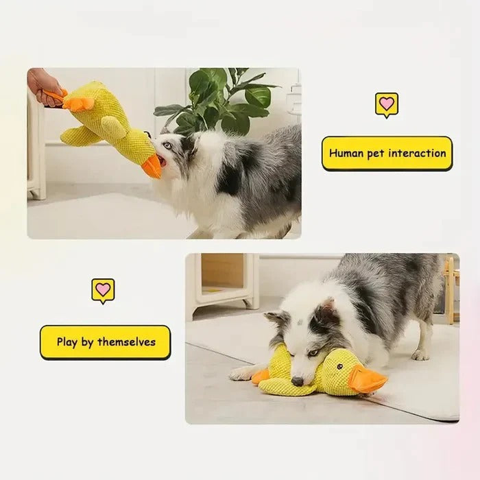 Giocattolo per cani squillante a forma di anatra con cuciture rinforzate