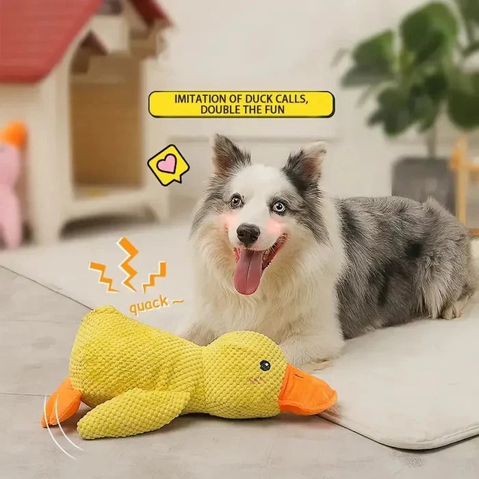 Giocattolo per cani squillante a forma di anatra con cuciture rinforzate