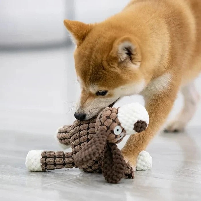 Giocattolo per cani in peluche con suono squillante e cuciture rinforzate