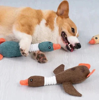 Giocattolo in peluche a forma di oca rinforzato per cani con tessuto testurizzato