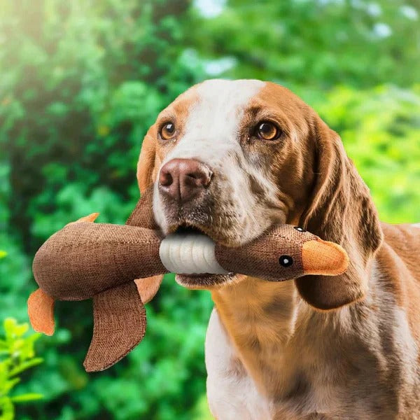 Giocattolo in peluche a forma di oca rinforzato per cani con tessuto testurizzato