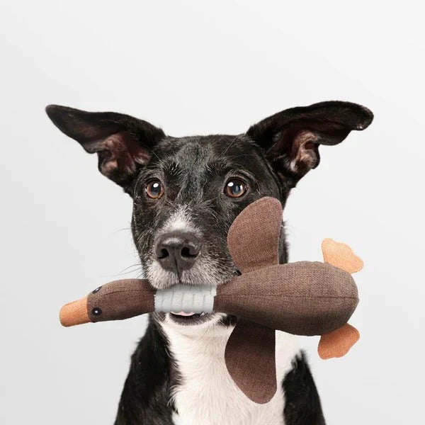 Giocattolo in peluche a forma di oca rinforzato per cani con tessuto testurizzato