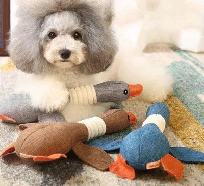Giocattolo in peluche a forma di oca rinforzato per cani con tessuto testurizzato