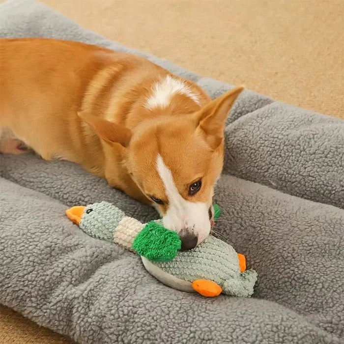 Giocattolo in peluche a forma di oca rinforzato per cani con tessuto testurizzato
