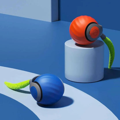 Giochi per gatti con design a coda per gioco al chiuso, set da 2 pezzi