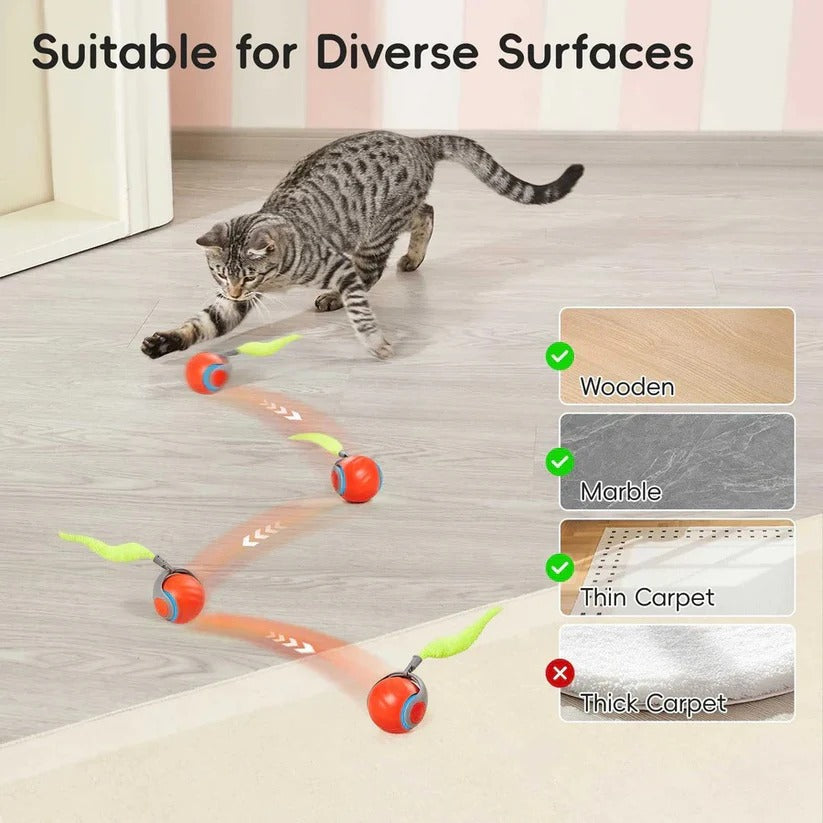 Giochi per gatti con design a coda per gioco al chiuso, set da 2 pezzi