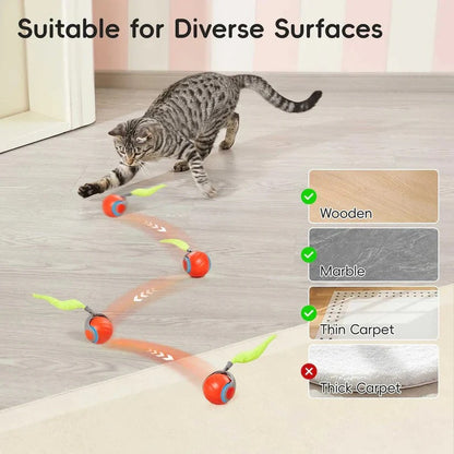 Giochi per gatti con design a coda per gioco al chiuso, set da 2 pezzi