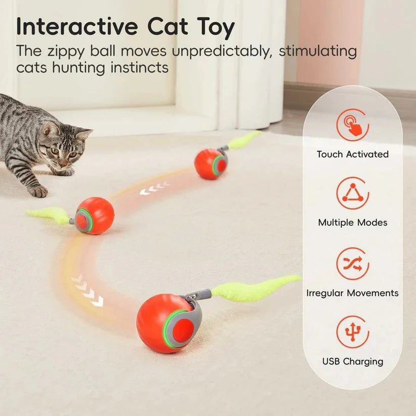 Giochi per gatti con design a coda per gioco al chiuso, set da 2 pezzi
