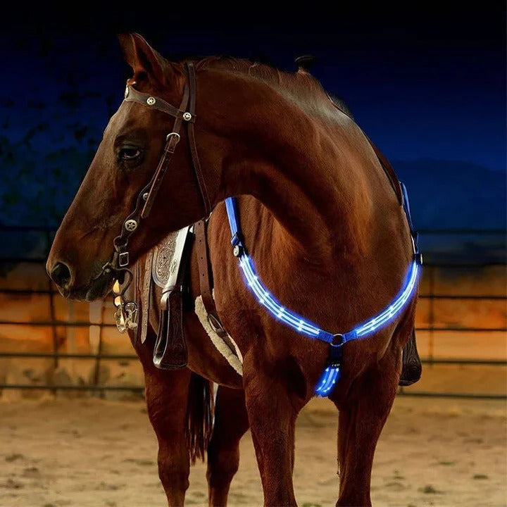 Collare toracico illuminato a LED per cavalli