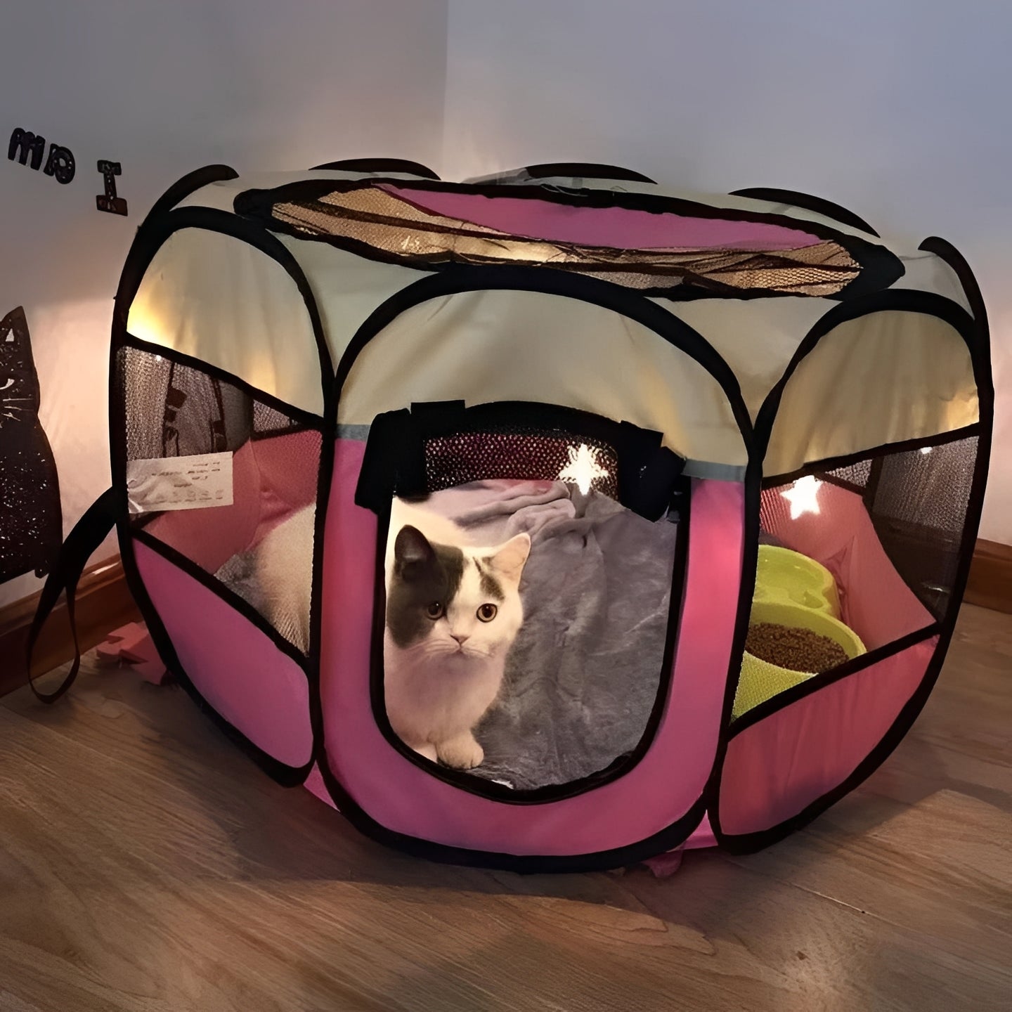 Tenda per animali domestici da interno e da esterno per gatti e piccoli cani