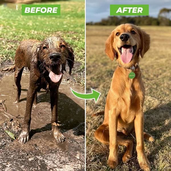FURSTREAM 360 – Spray per il bagno degli animali domestici con funzione spray a 360°