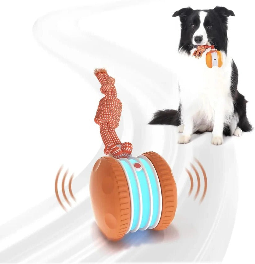 Giocattolo per cani a palla rotolante automatica con corda, set da 2 pezzi
