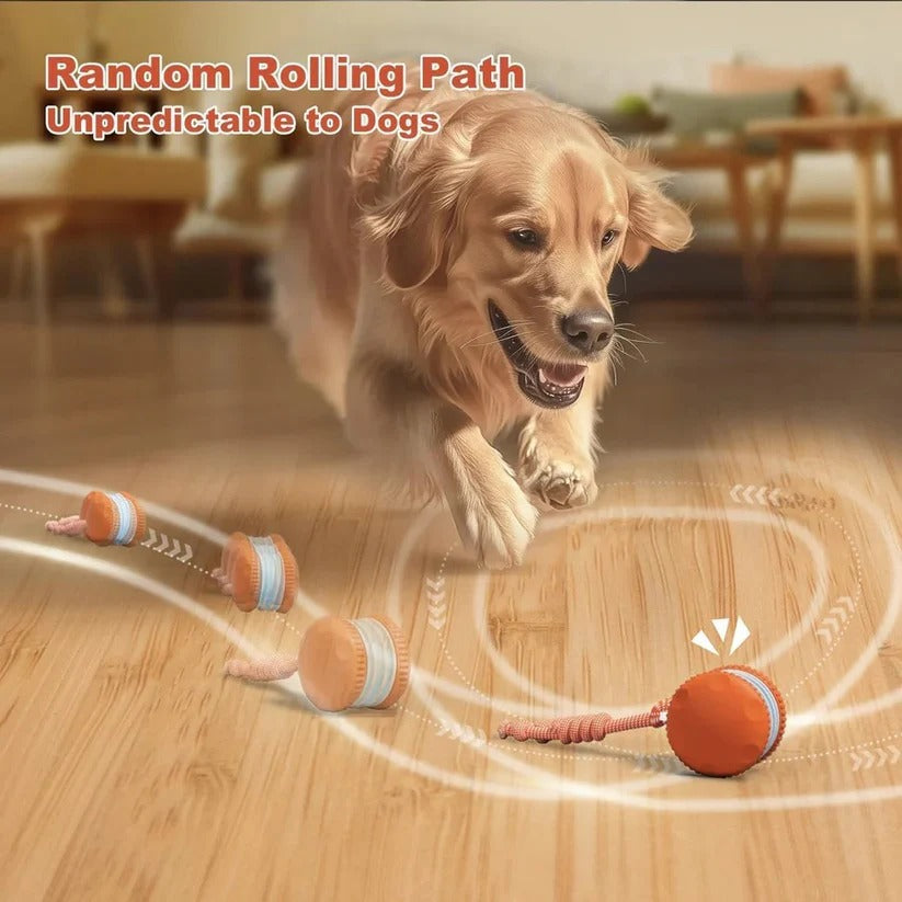 Giocattolo per cani a palla rotolante automatica con corda, set da 2 pezzi