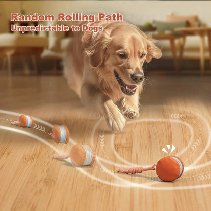 Giocattolo per cani a palla rotolante automatica con corda, set da 2 pezzi