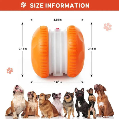 Giocattolo per cani a palla rotolante automatica con corda, set da 2 pezzi