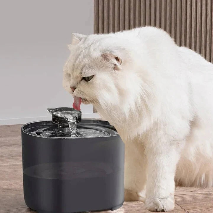 Fontanella automatica per gatti con sistema di filtrazione