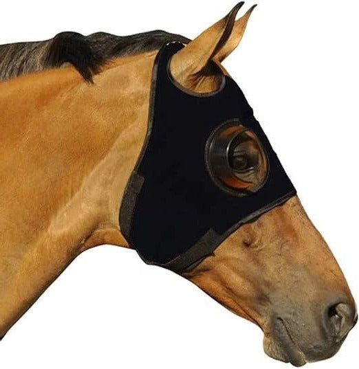 Paraocchi per cavallo con cinghie in pelle regolabili