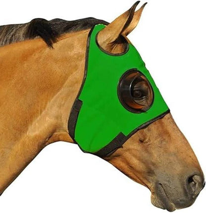 Paraocchi per cavallo con cinghie in pelle regolabili